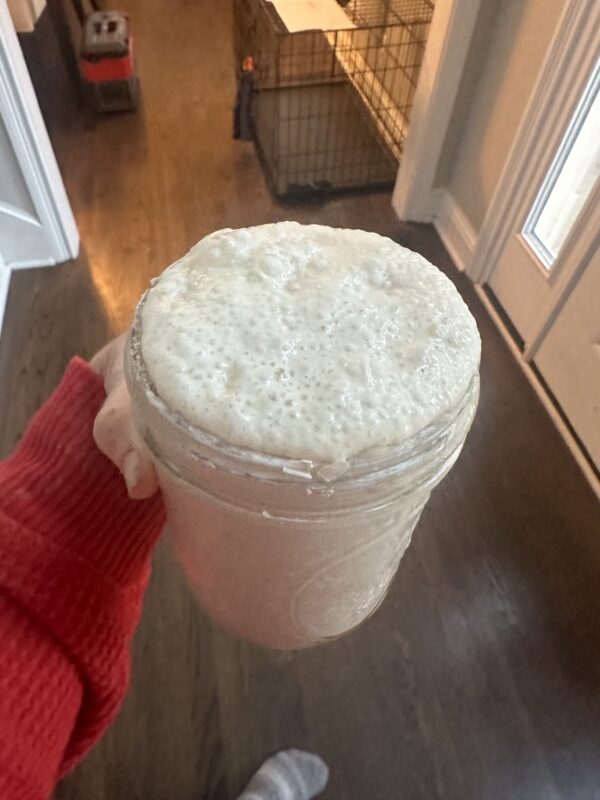 Dehydrated Organic Sourdough Starter "Sally"