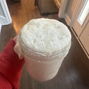 Dehydrated Organic Sourdough Starter "Sally"