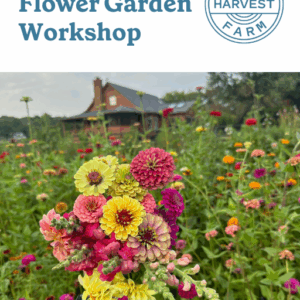 The Beginner’s Cut Flower Garden Guide